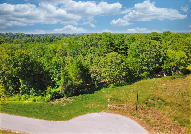 Homes for sale in Winona, TX | Lot 32 Creek Bottom Ct, Winona, TX 75792 | MLS# 21305237