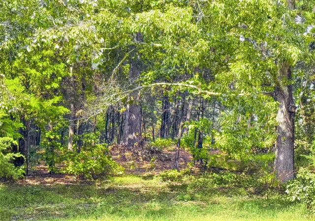 Homes for sale in Winona, TX | Lot 32 Creek Bottom Ct, Winona, TX 75792 | MLS# 21305237
