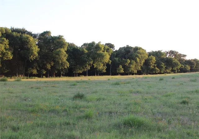 Homes for sale in Grandview, TX | Tbd County Road 204, Grandview, TX 76050 | MLS# 21304208