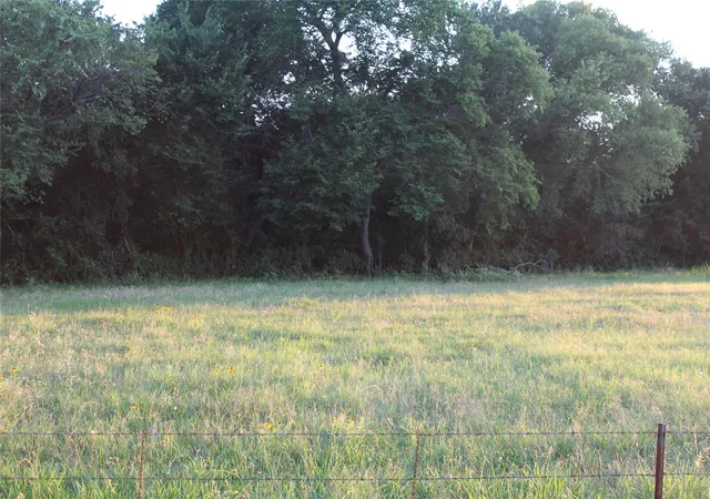 Homes for sale in Grandview, TX | Tbd County Road 204, Grandview, TX 76050 | MLS# 21304208