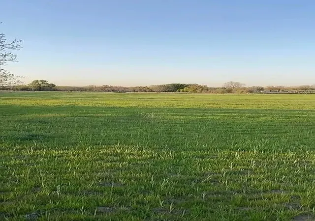 Homes for sale in Bridgeport, TX | Lot 1 County Road 3424, Bridgeport, TX 76426 | MLS# 21305630