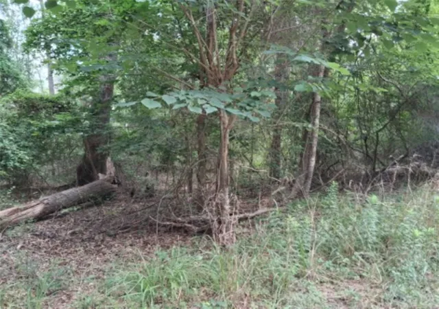 Photo 1 of Land for sale at Tbd Dogwood Dr, Murchison, TX 75778 | MLS# 21305291 | Listing updated on 2026-08-22