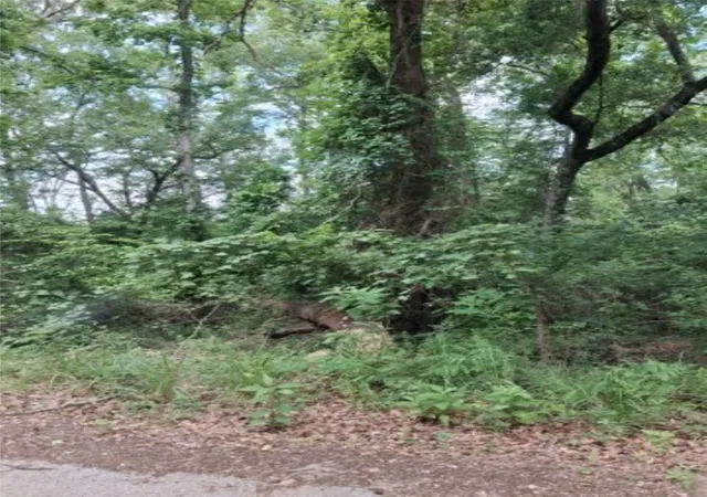Photo 2 of Land for sale at Tbd Dogwood Dr, Murchison, TX 75778 | MLS# 21305291 | Listing updated on 2026-08-22