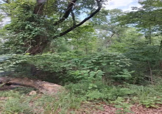 Photo 3 of Land for sale at Tbd Dogwood Dr, Murchison, TX 75778 | MLS# 21305291 | Listing updated on 2026-08-22