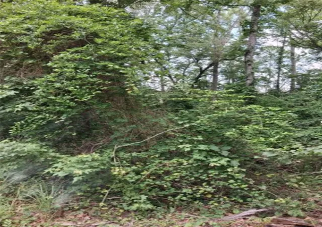 Photo 4 of Land for sale at Tbd Dogwood Dr, Murchison, TX 75778 | MLS# 21305291 | Listing updated on 2026-08-22