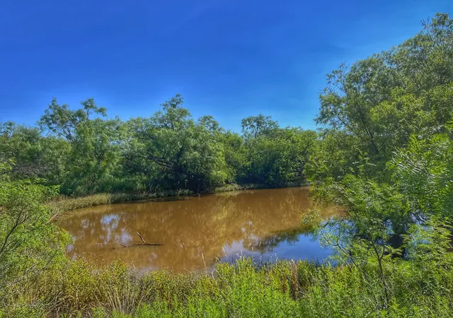 Homes for sale in Sweetwater, TX | 1363 County Road 441, Sweetwater, TX 79556 | MLS# 21305802