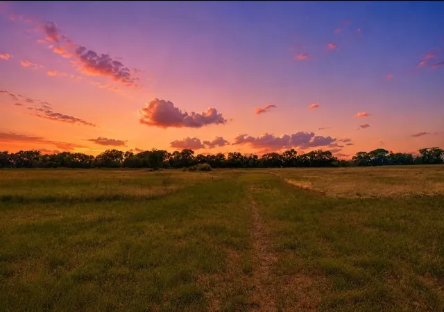 Photo 2 of Single family home for sale at 1948 County Road 1255, Savoy, TX 75479 | MLS# 21297777 | Listing updated on 2026-08-22