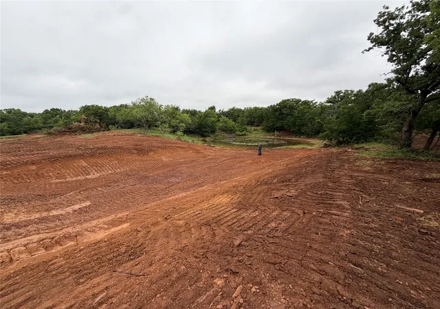Homes for sale in Cisco, TX | Tbd County Road 137 Road, Cisco, TX 76437 | MLS# 21306112