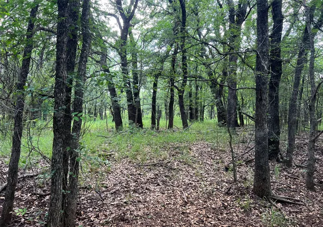 Homes for sale in Cisco, TX | Tbd County Road 137 Road, Cisco, TX 76437 | MLS# 21306112