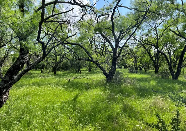 Homes for sale in Cisco, TX | Tbd County Road 137 Road, Cisco, TX 76437 | MLS# 21306112