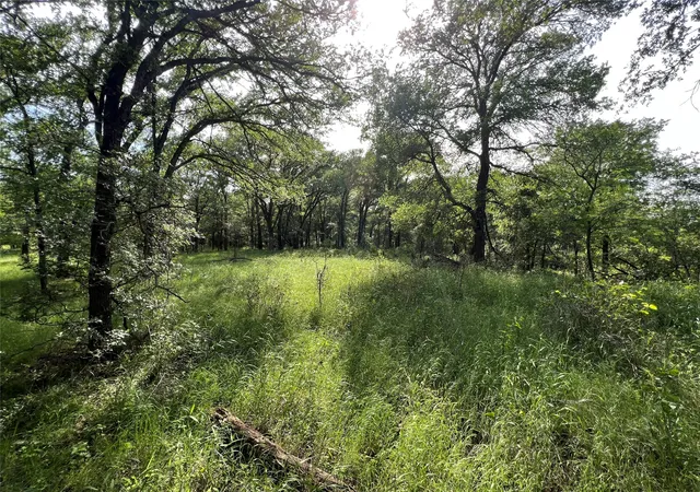 Homes for sale in Cisco, TX | Tbd County Road 137 Road, Cisco, TX 76437 | MLS# 21306112