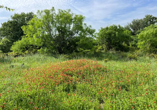 Homes for sale in Cisco, TX | Tbd County Road 137 Road, Cisco, TX 76437 | MLS# 21306112