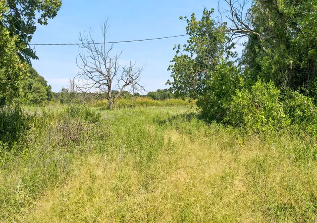 Homes for sale in Rising Star, TX | Tbd Co Rd 290, Rising Star, TX 76471 | MLS# 21306101