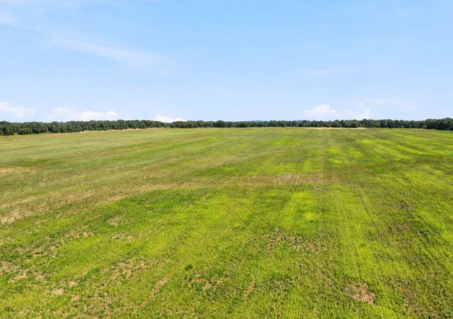 Homes for sale in Rising Star, TX | Tbd Co Rd 290, Rising Star, TX 76471 | MLS# 21306101