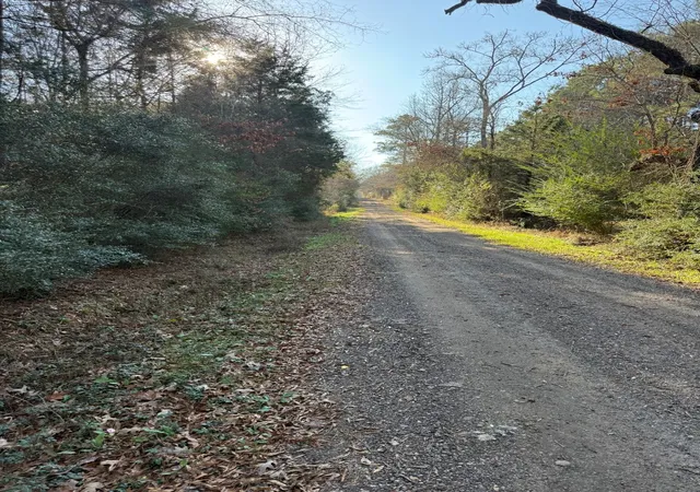 Homes for sale in Beckville, TX | Tbd D County Road 216, Beckville, TX 75631 | MLS# 21306431