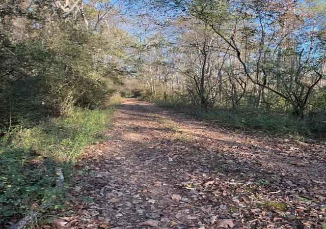 Homes for sale in Beckville, TX | Tbd D County Road 216, Beckville, TX 75631 | MLS# 21306431