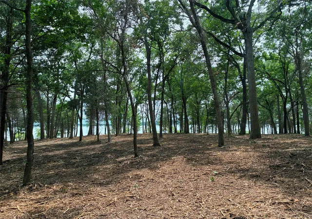 4th image of 1981 Underwood 1B, Quinlan, TX 75474 | MLS# 21306578