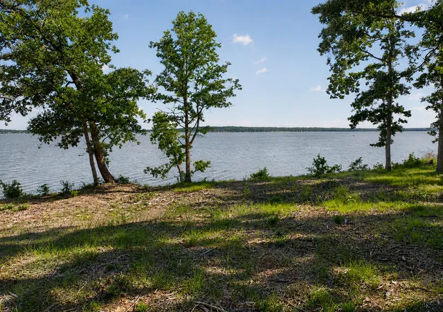 6th image of 1981 Underwood 1b, Quinlan, TX 75474 | MLS# 21306578