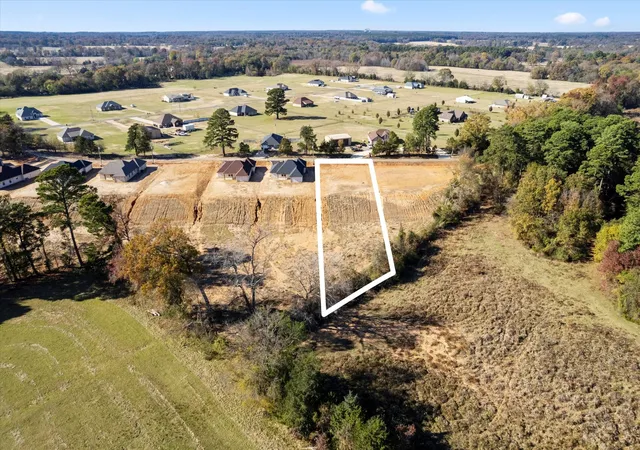 Homes for sale in Pittsburg, TX | Lot 2 Cr 4323, Pittsburg, TX 75686 | MLS# 21306580