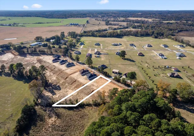 Homes for sale in Pittsburg, TX | Lot 2 Cr 4323, Pittsburg, TX 75686 | MLS# 21306580