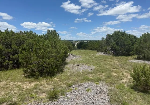 Homes for sale in Jonesboro, TX | 1320 Private Road 16021, Jonesboro, TX 76538 | MLS# 21306248
