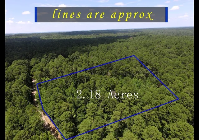 Land for sale at Tbd Private Road 8565, Winnsboro, TX 75494 | MLS# 21306786