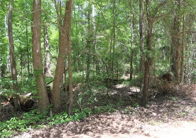 Photo 4 of Land for sale at Tbd Private Road 8565, Winnsboro, TX 75494 | MLS# 21306786 | Listing updated on 2026-09-21