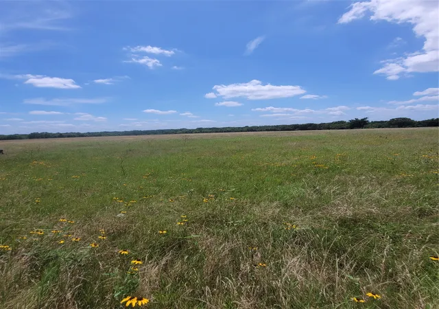 Homes for sale in Dike, TX | 2441 County Road 3512, Dike, TX 75437 | MLS# 21306856