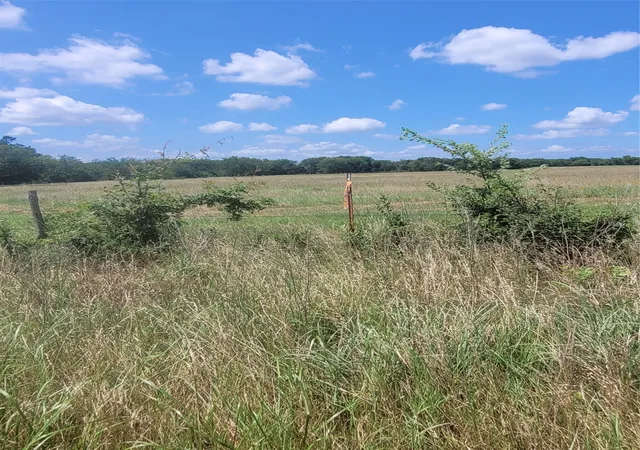 Homes for sale in Dike, TX | 2441 County Road 3512, Dike, TX 75437 | MLS# 21306856