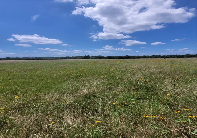 Homes for sale in Dike, TX | 2441 County Road 3512, Dike, TX 75437 | MLS# 21306856