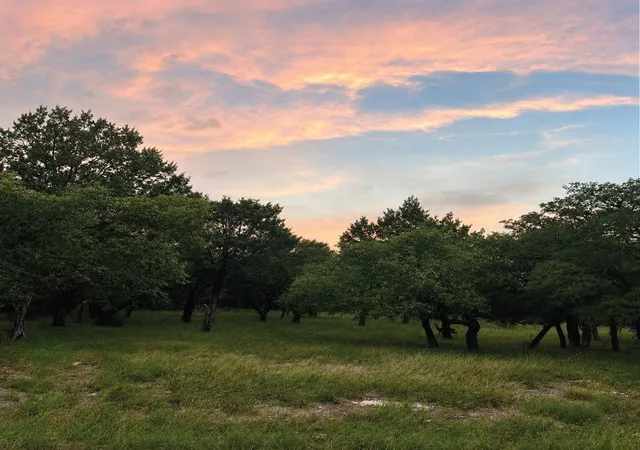 Homes for sale in Horseshoe Bay, TX | Lot K14012 Mountain Dew, Horseshoe Bay, TX 78657 | MLS# 21305566