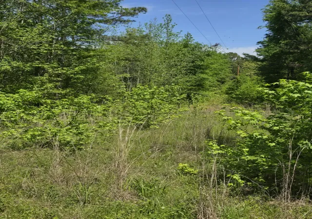 Land for sale at Tbd County Road 421, Tyler, TX 75704 | MLS# 21303600