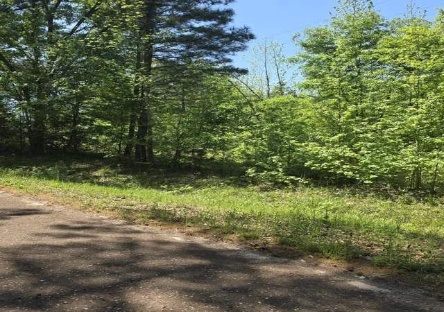 Photo 3 of Land for sale at Tbd County Road 421, Tyler, TX 75704 | MLS# 21303600 | Listing updated on 2026-09-20