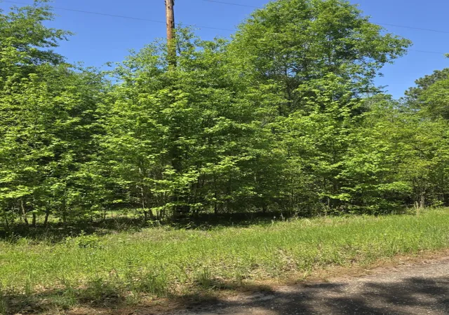 Photo 4 of Land for sale at Tbd County Road 421, Tyler, TX 75704 | MLS# 21303600 | Listing updated on 2026-09-20