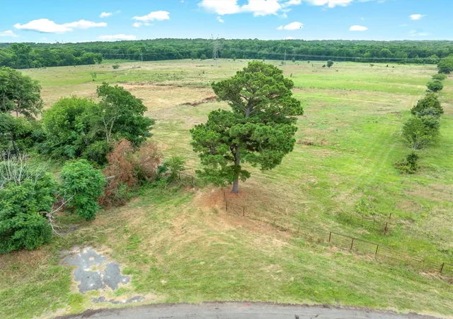 Photo 3 of Land for sale at 4072 Acres Vz County Road 4503, Ben Wheeler, TX 75754 | MLS# 21305733 | Listing updated on 2026-09-29