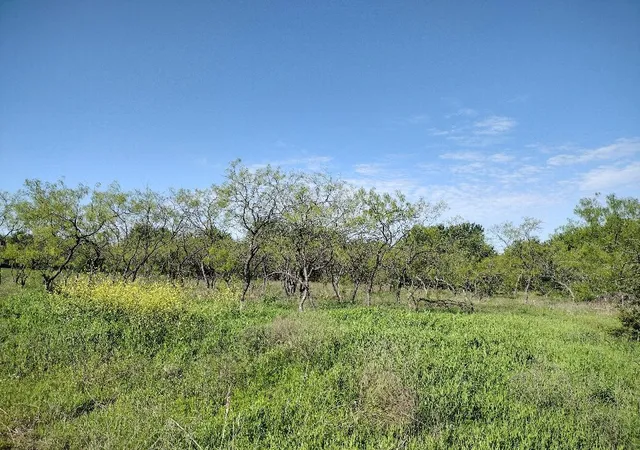 Photo 2 of Land for sale at 4007 Vista Oak, Royse City, TX 75189 | MLS# 21307460 | Listing updated on 2026-08-22