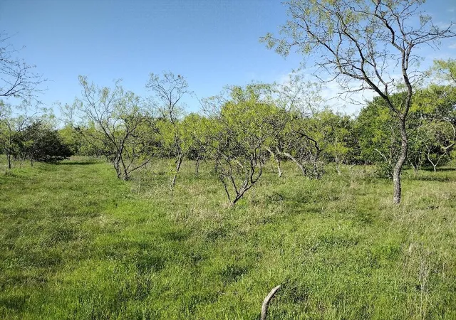 Photo 3 of Land for sale at 4007 Vista Oak, Royse City, TX 75189 | MLS# 21307460 | Listing updated on 2026-08-22