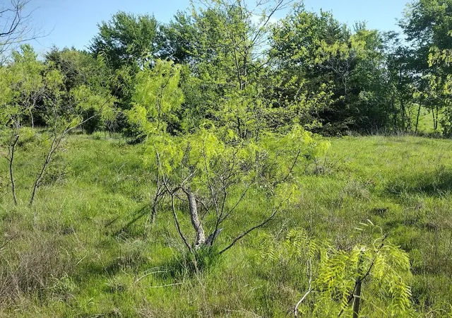 Photo 3 of Land for sale at 4007 Vista Oak, Royse City, TX 75189 | MLS# 21307460 | Listing updated on 2026-08-22