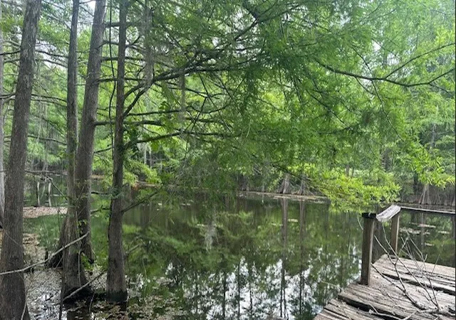 38th image of 179 Fred Sanders Rd, Sibley, LA 71073 | MLS# 21289091
