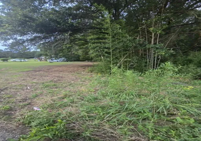 Photo 1 of Land for sale at Tbd W Hwy 49, Daingerfield, TX 75638 | MLS# 21307975 | Listing updated on 2026-07-14