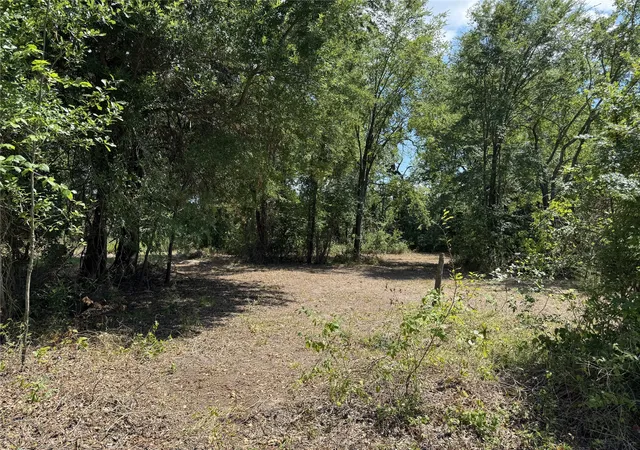 Photo 4 of Land for sale at 204 Kanakoa Dr, Tool, TX 75143 | MLS# 21308041 | Listing updated on 2026-08-22