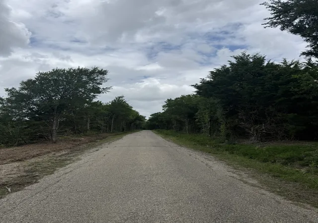 14th image of Tbd 15 Mcknight, Ferris, TX 75125 | MLS# 21308153