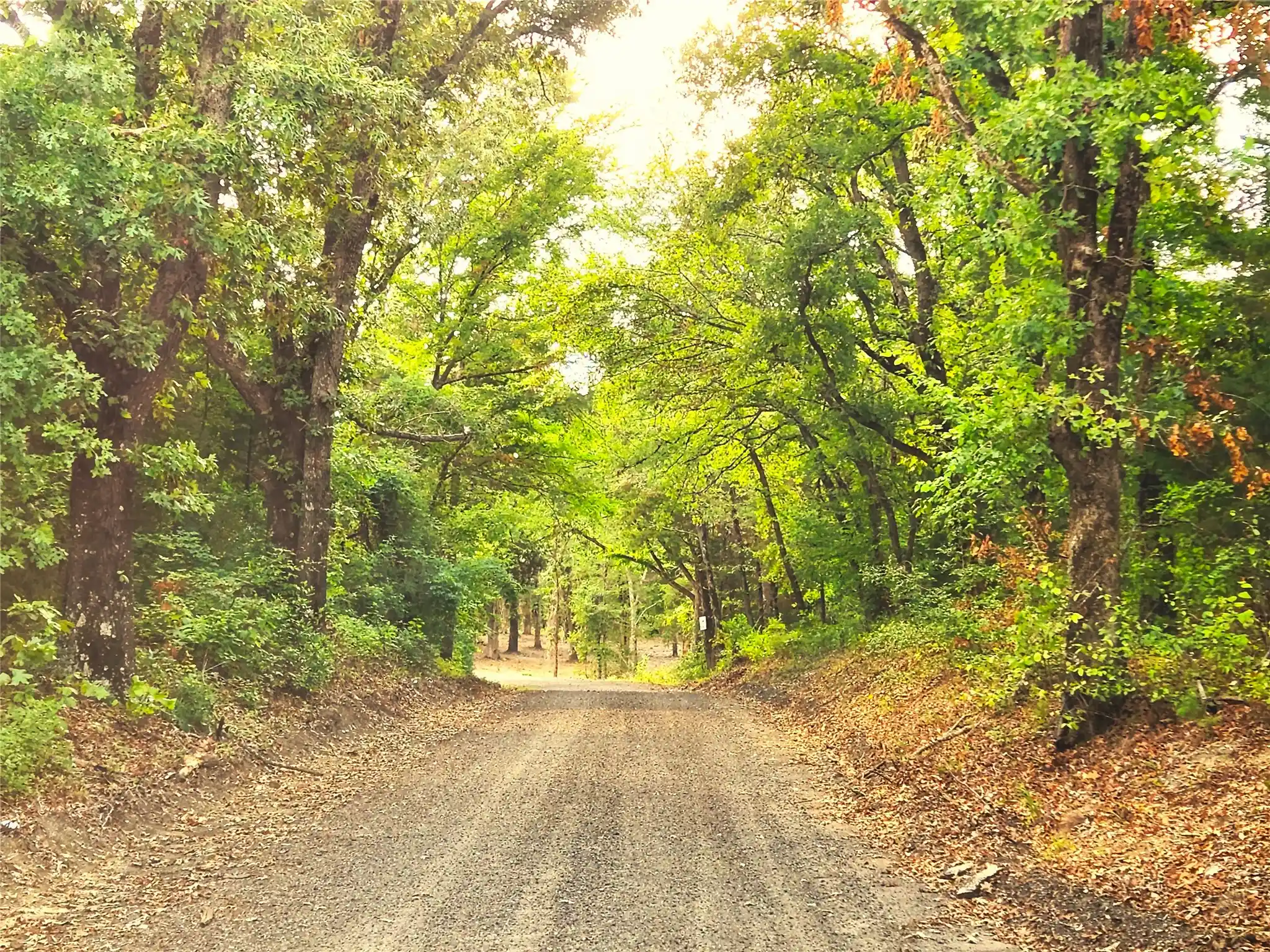 Land for sale at Lot 465 Cr-4710, Larue, TX 75770 | MLS# 21308440