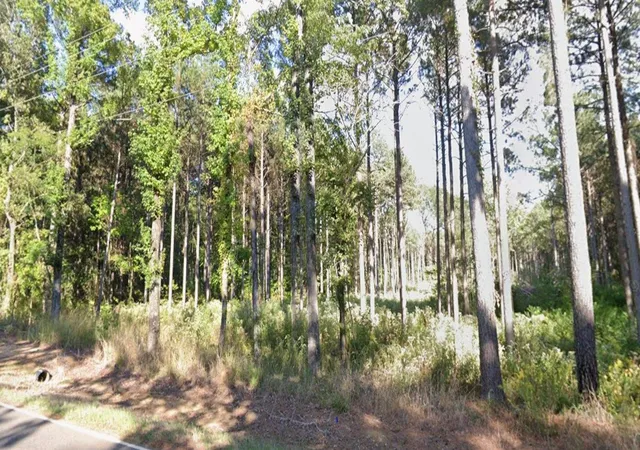 Photo 3 of Land for sale at 125 Crouch Rd, Benton, LA 71006 | MLS# 21307542 | Listing updated on 2026-07-24