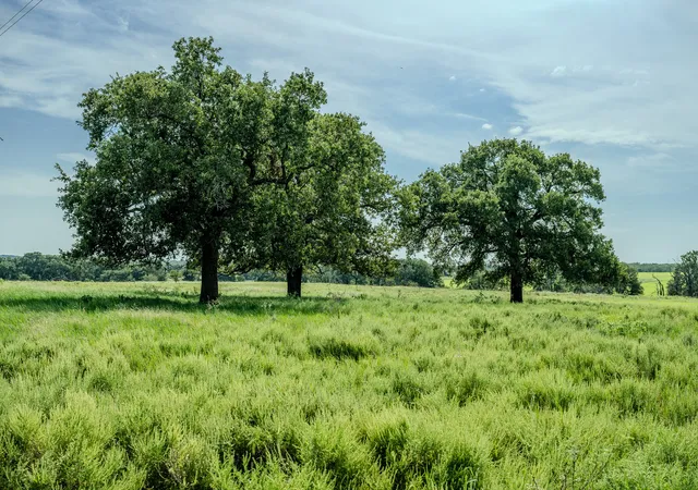 Land for sale at 001 W Pleasant Valley Rd, Bellevue, TX 76228 | MLS# 21309070