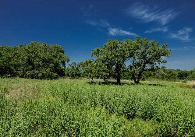 Photo 2 of Land for sale at 001 W Pleasant Valley Rd, Bellevue, TX 76228 | MLS# 21309070 | Listing updated on 2026-08-20