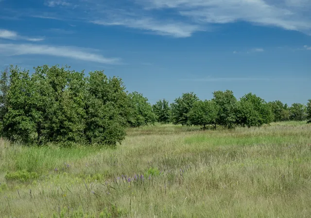 Homes for sale in Henrietta, TX | 001 W Pleasant Valley Rd, Henrietta, TX 76230 | MLS# 21309070