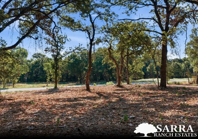 Photo 2 of Land for sale at Lot 44 Antrim Ct, Poolville, TX 76487 | MLS# 21309258 | Listing updated on 2026-09-03