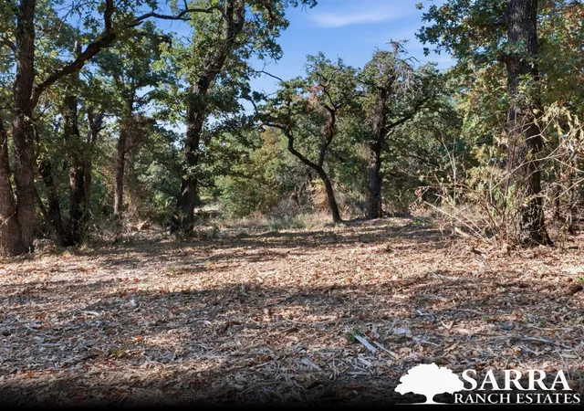 Photo 3 of Land for sale at Lot 44 Antrim Ct, Poolville, TX 76487 | MLS# 21309258 | Listing updated on 2026-09-03