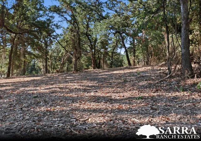 Photo 3 of Land for sale at Lot 44 Antrim Ct, Poolville, TX 76487 | MLS# 21309258 | Listing updated on 2026-09-03